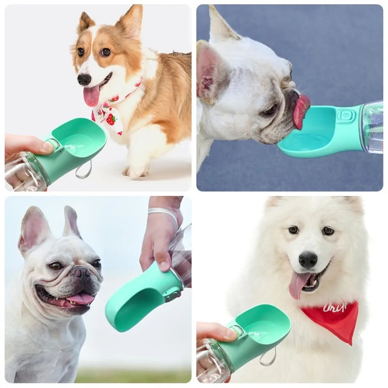 Leak-Free Pet Bottle